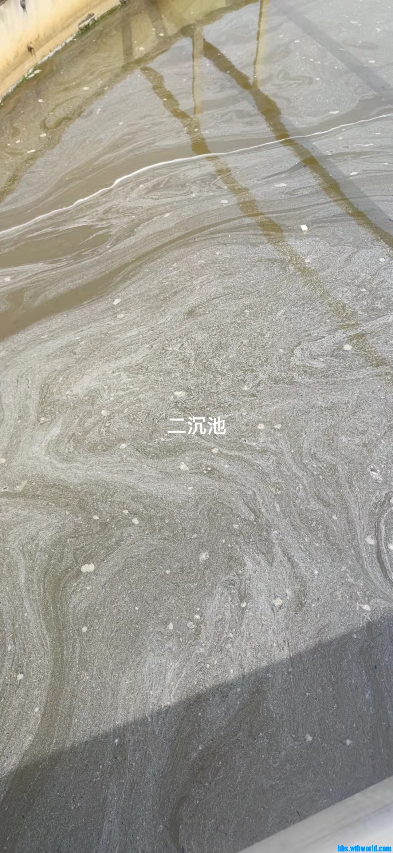 wechat_upload1649129455624bb7ef23738