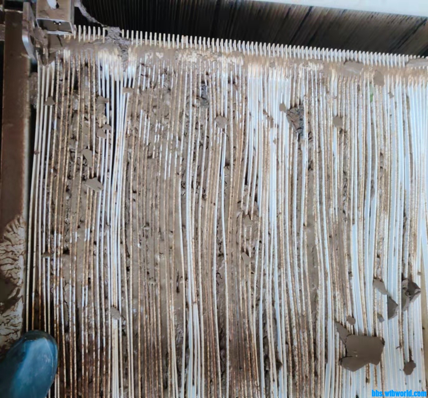 wechat_upload1649147451624bfe3bbdbad