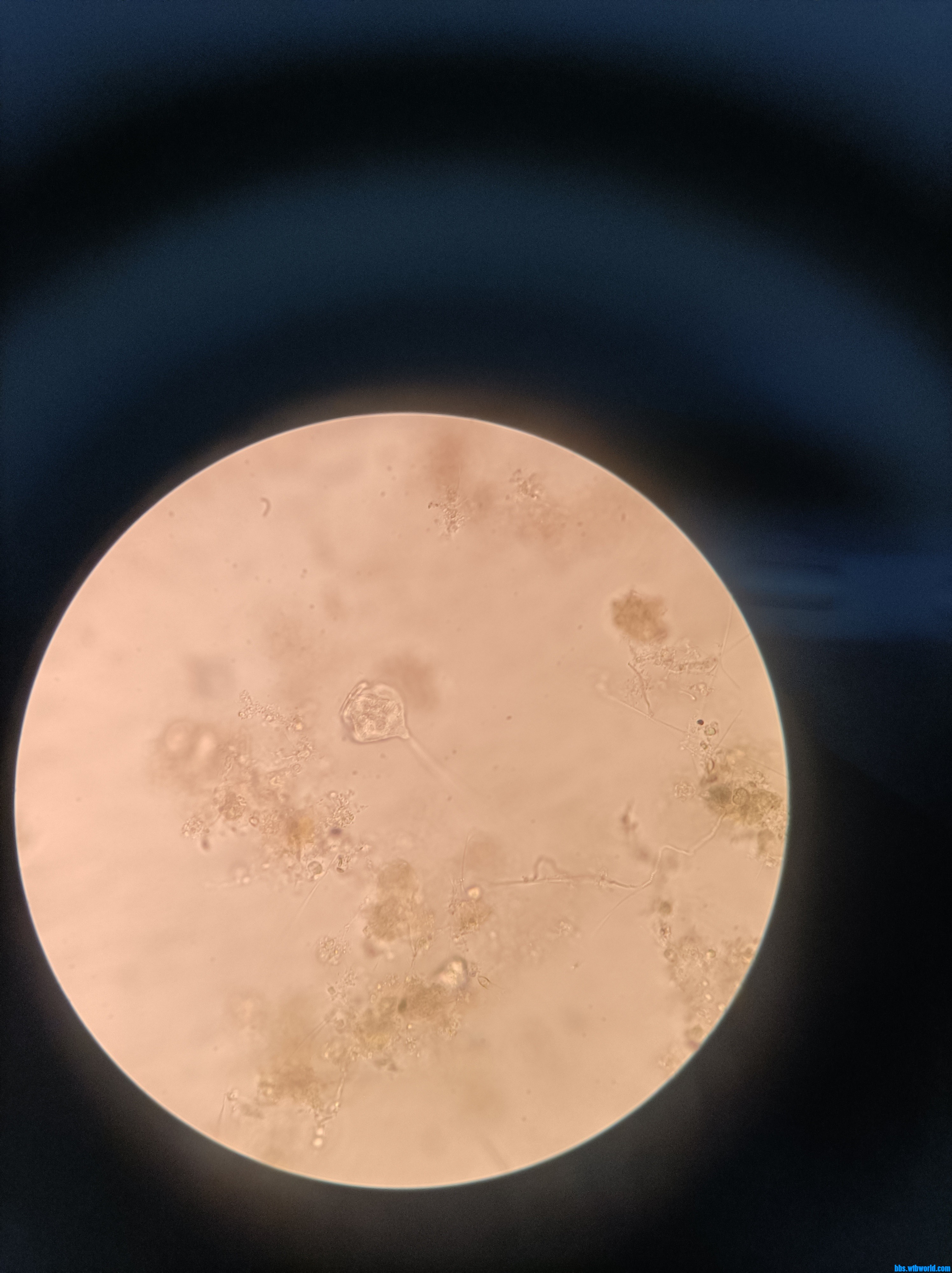 wechat_upload1649171401624c5bc9020b5