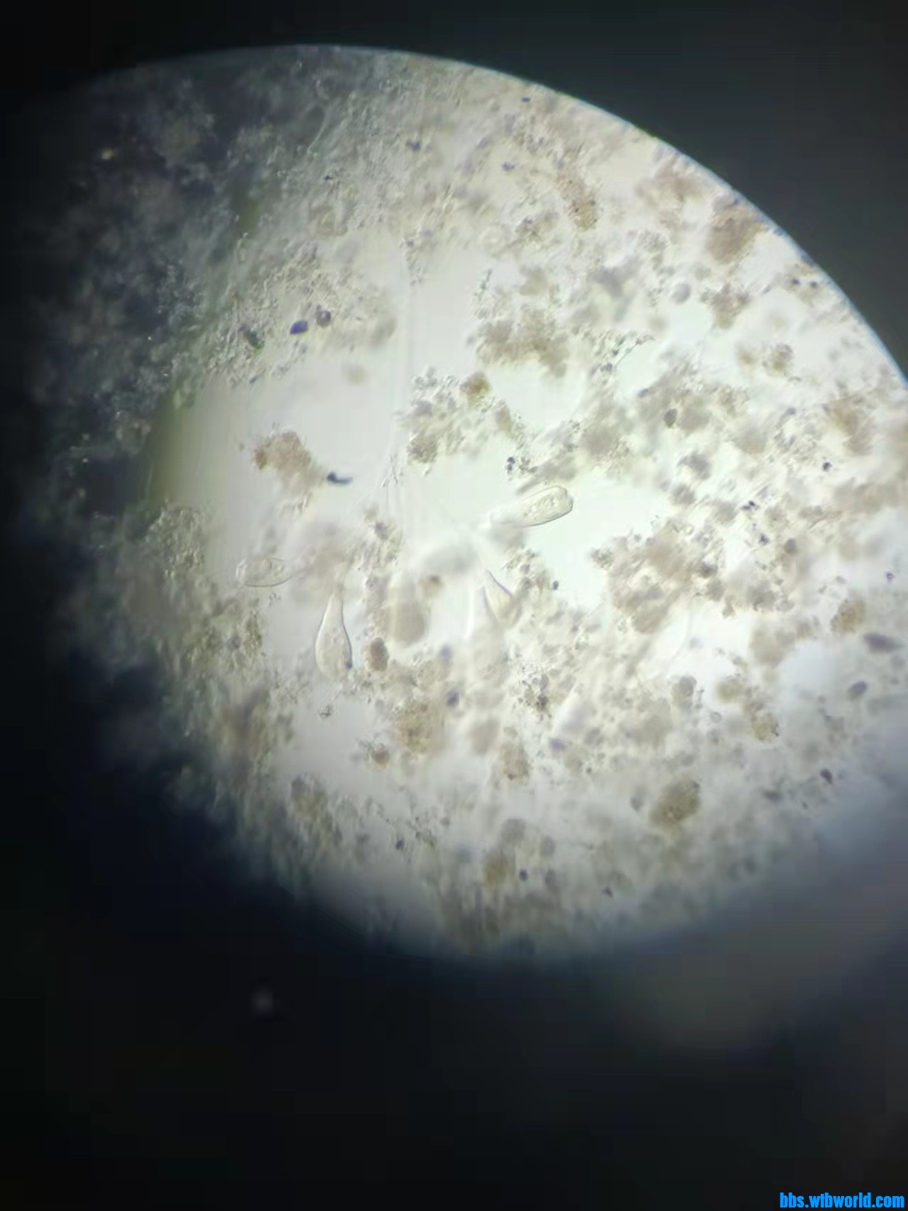 wechat_upload1649212135624cfae7946db