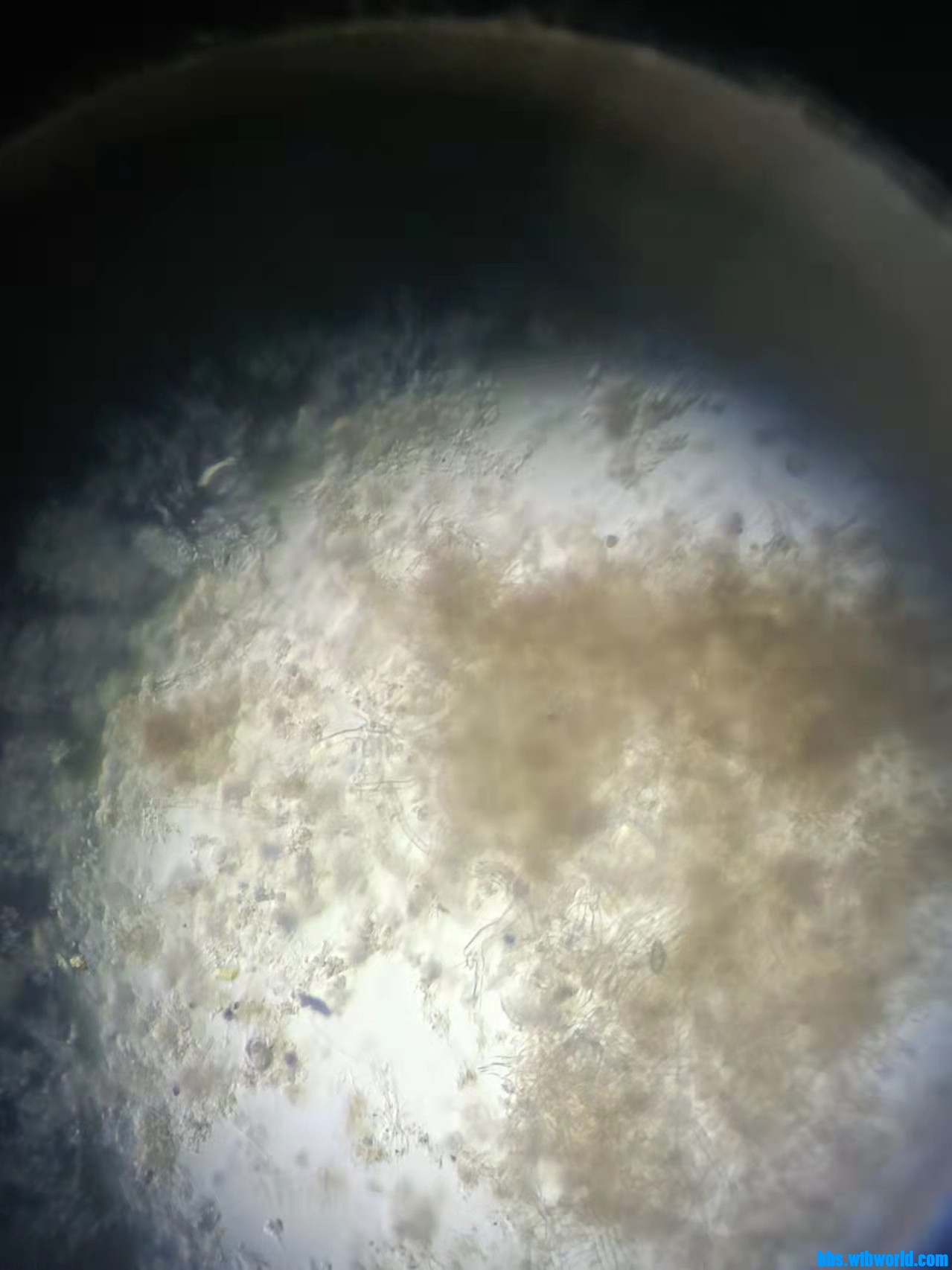 wechat_upload1649212135624cfae736115