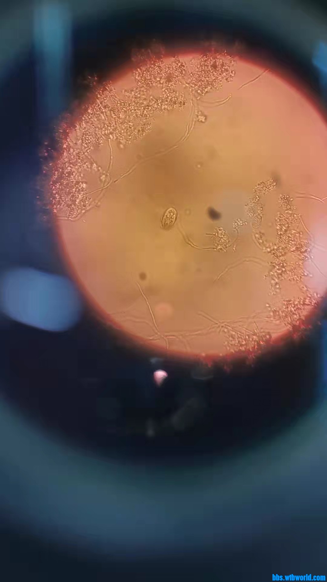 wechat_upload1649214338624d03829603c