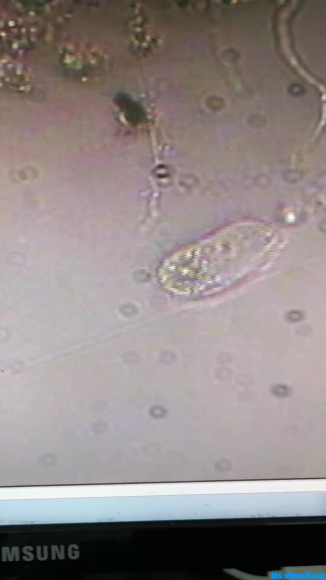 wechat_upload1649214338624d03821481a