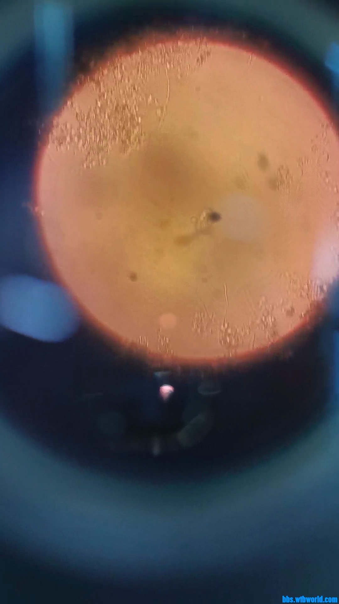 wechat_upload1649214339624d038308f09