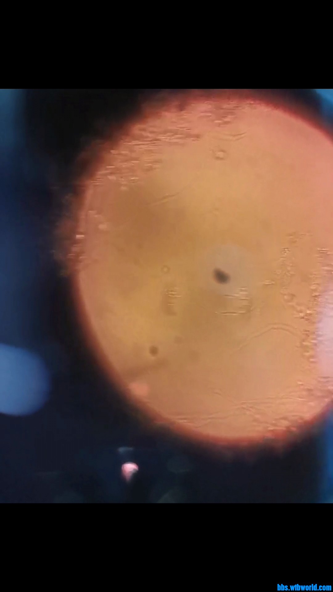 wechat_upload1649218834624d151237feb