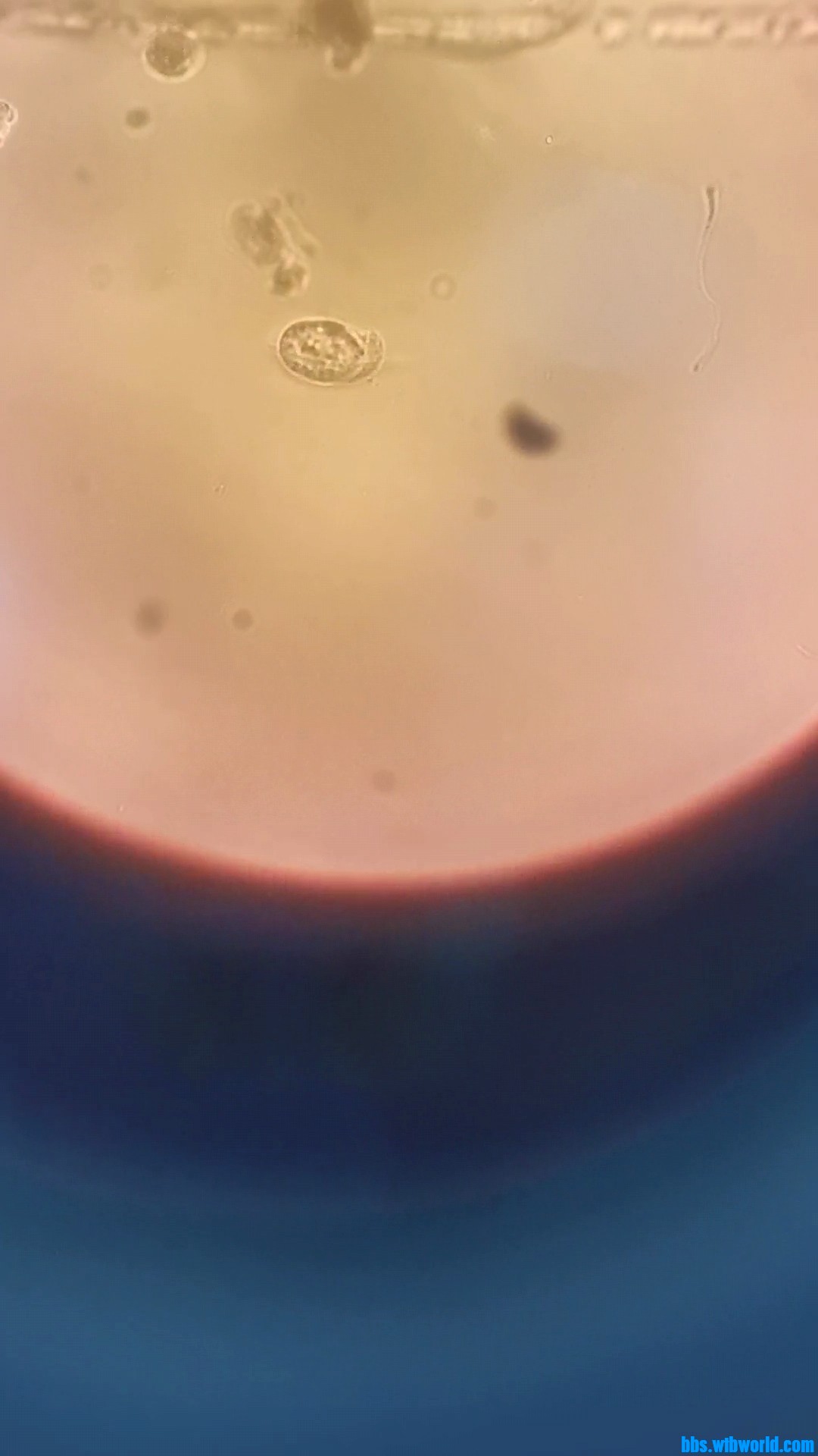 wechat_upload1649219828624d18f42829b