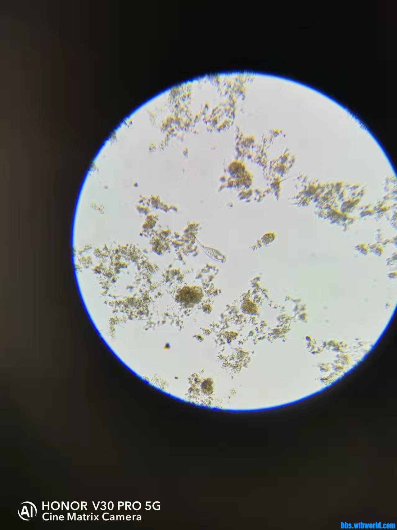 wechat_upload1649221998624d216ecdfd4