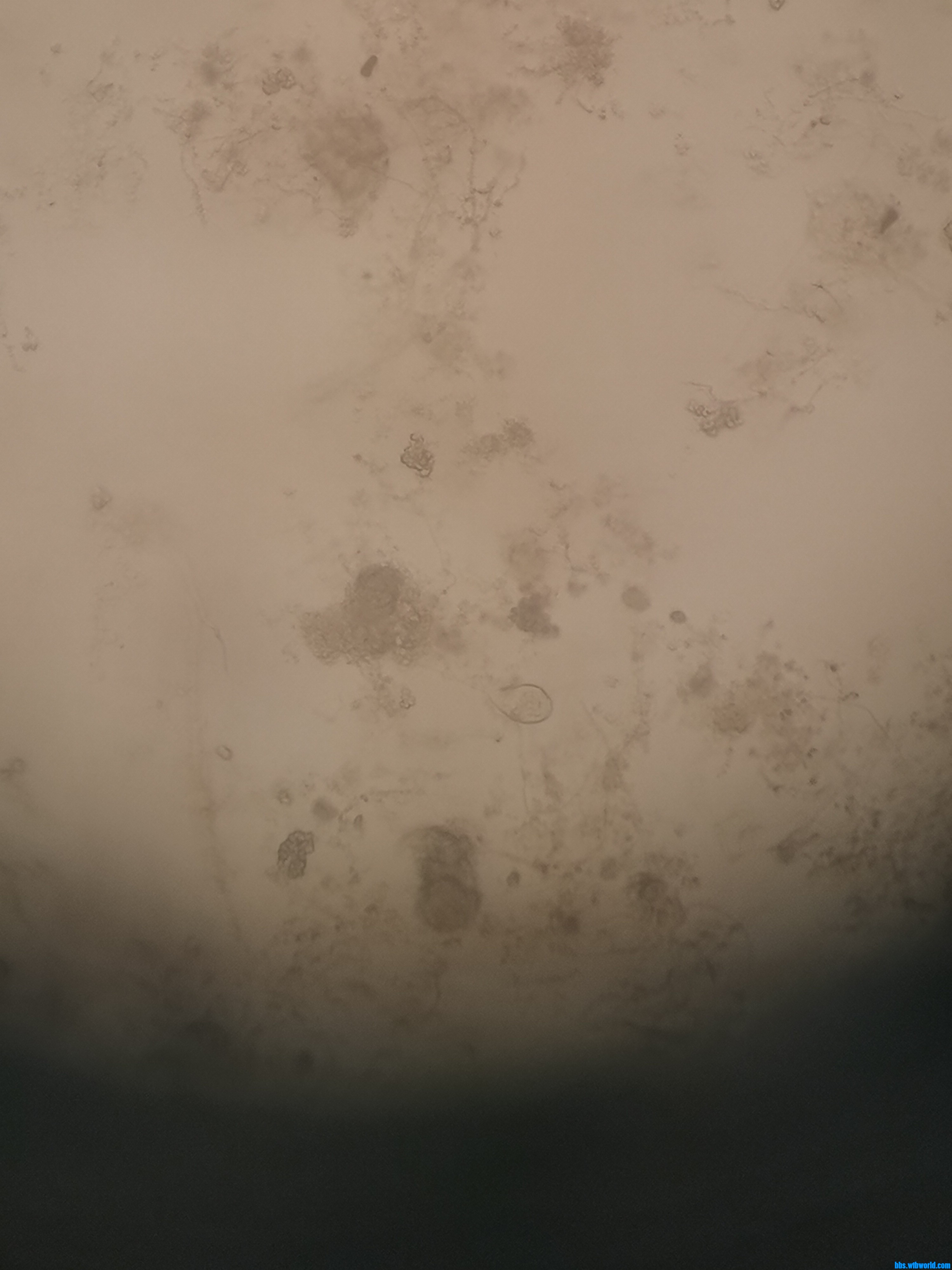 wechat_upload1649232767624d4b7f92217