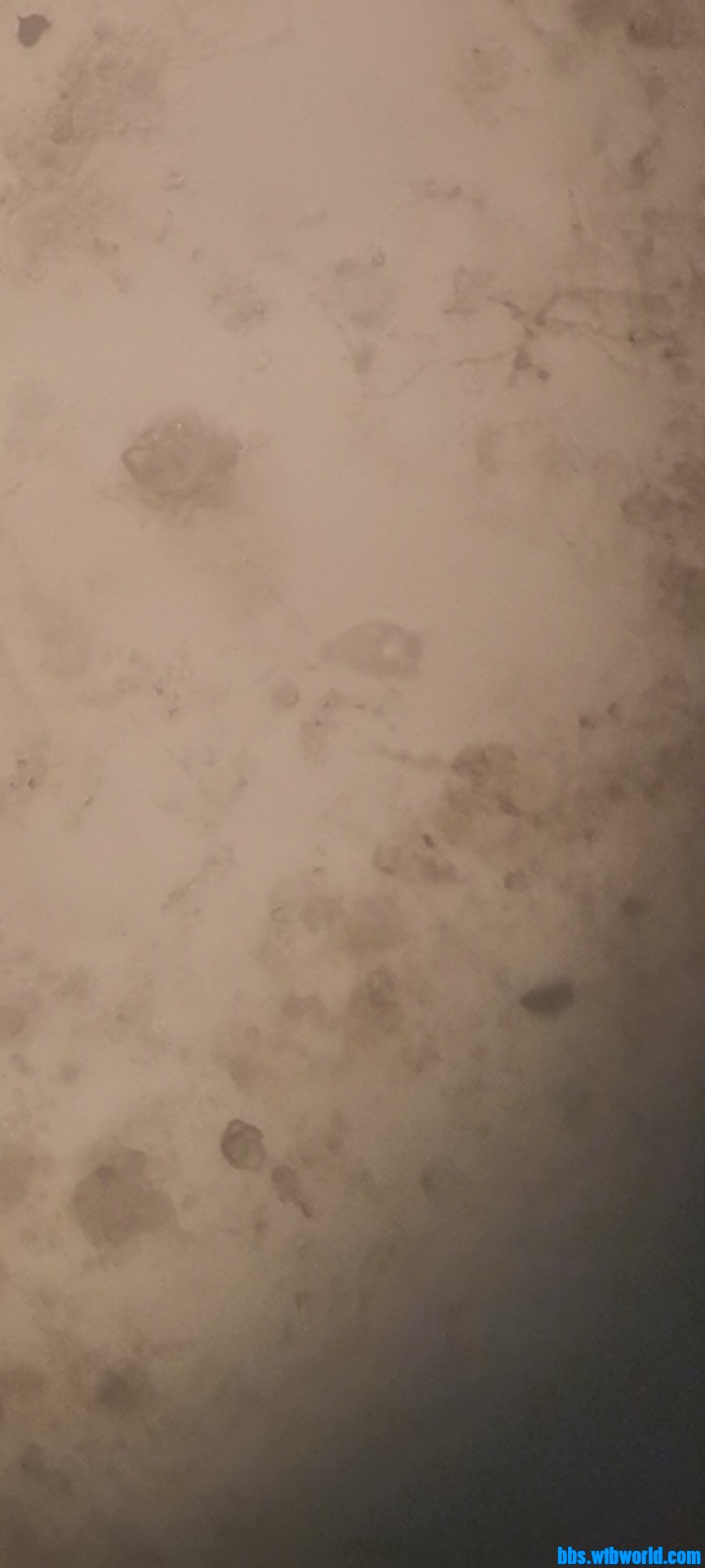 wechat_upload1649232782624d4b8ec88cc