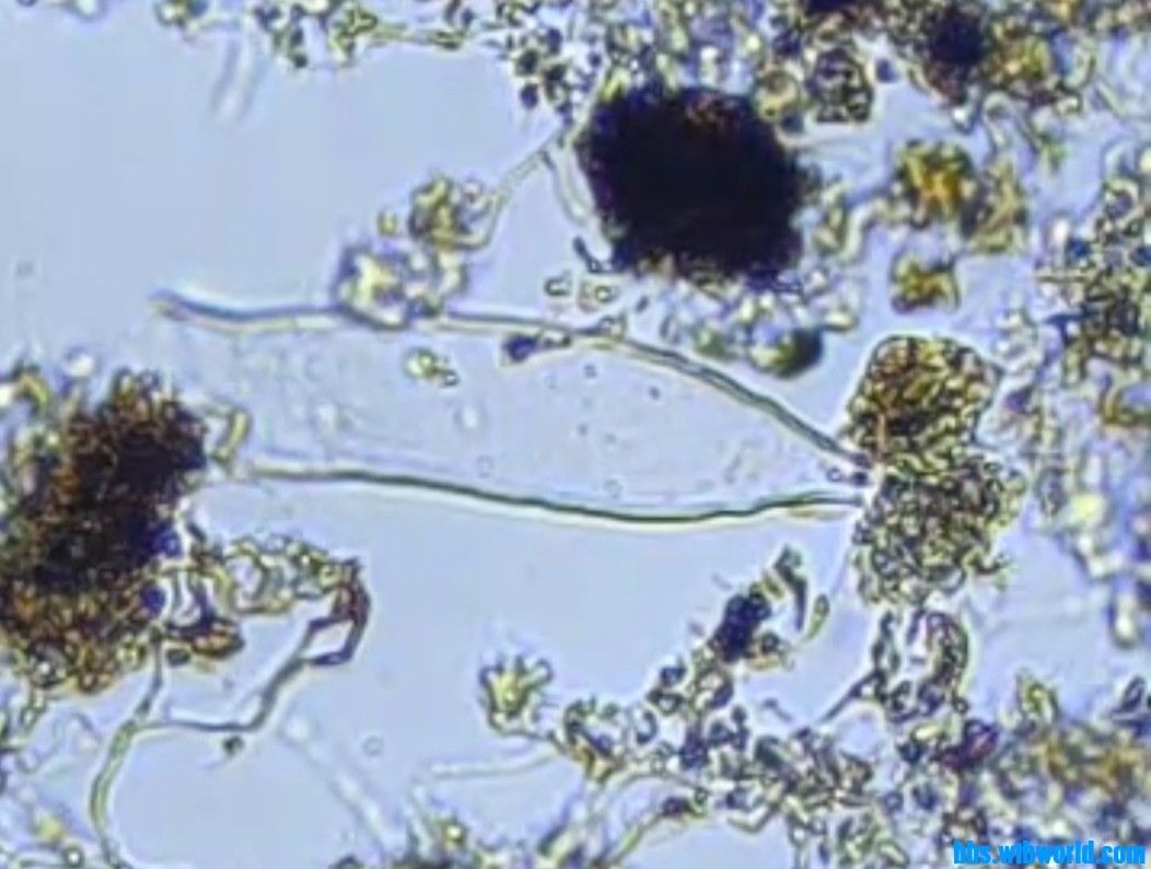 wechat_upload1649290888624e2e8836e7f