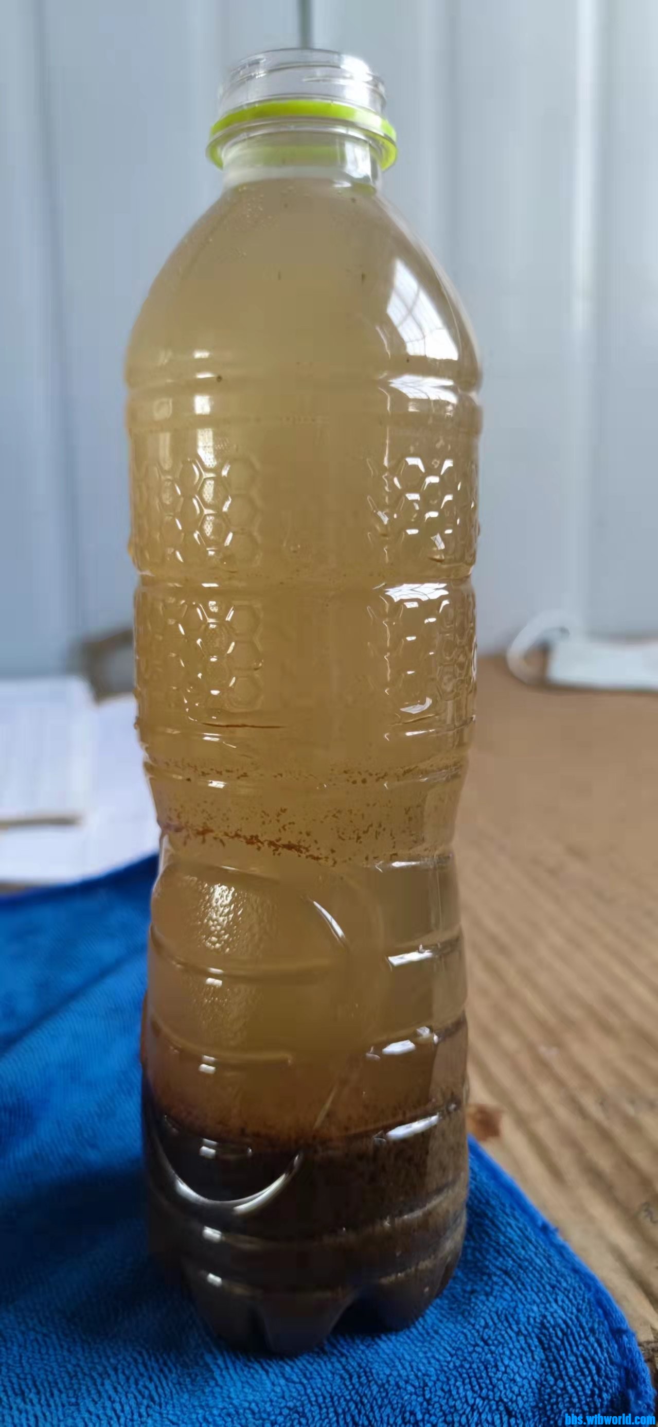 wechat_upload1649310526624e7b3eb3e79