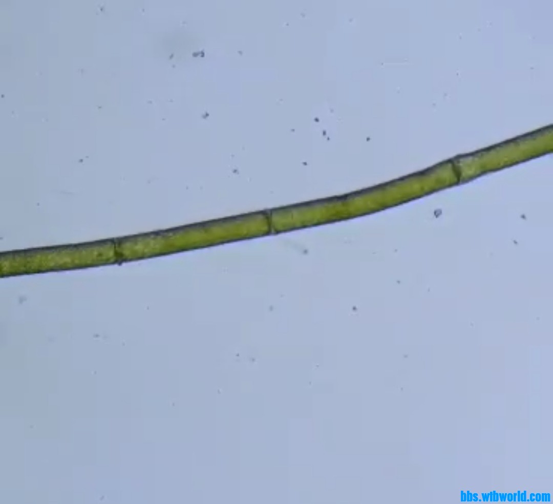 wechat_upload1649313711624e87afc4ab0