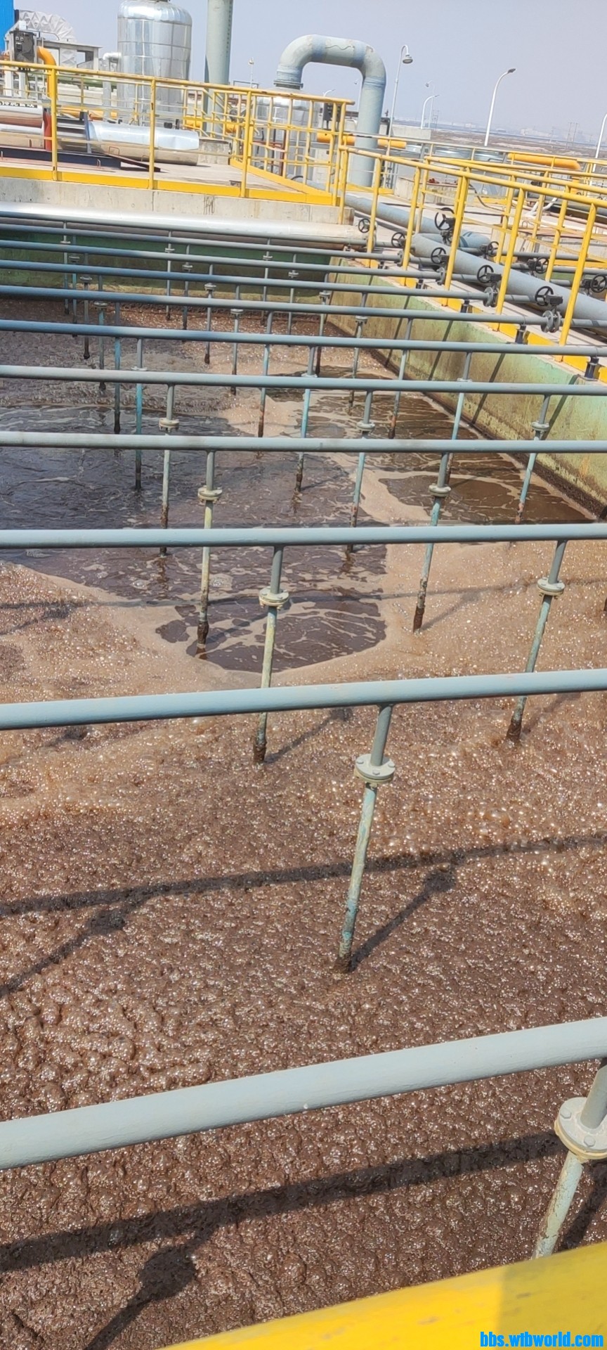 wechat_upload1649316252624e919c654ea