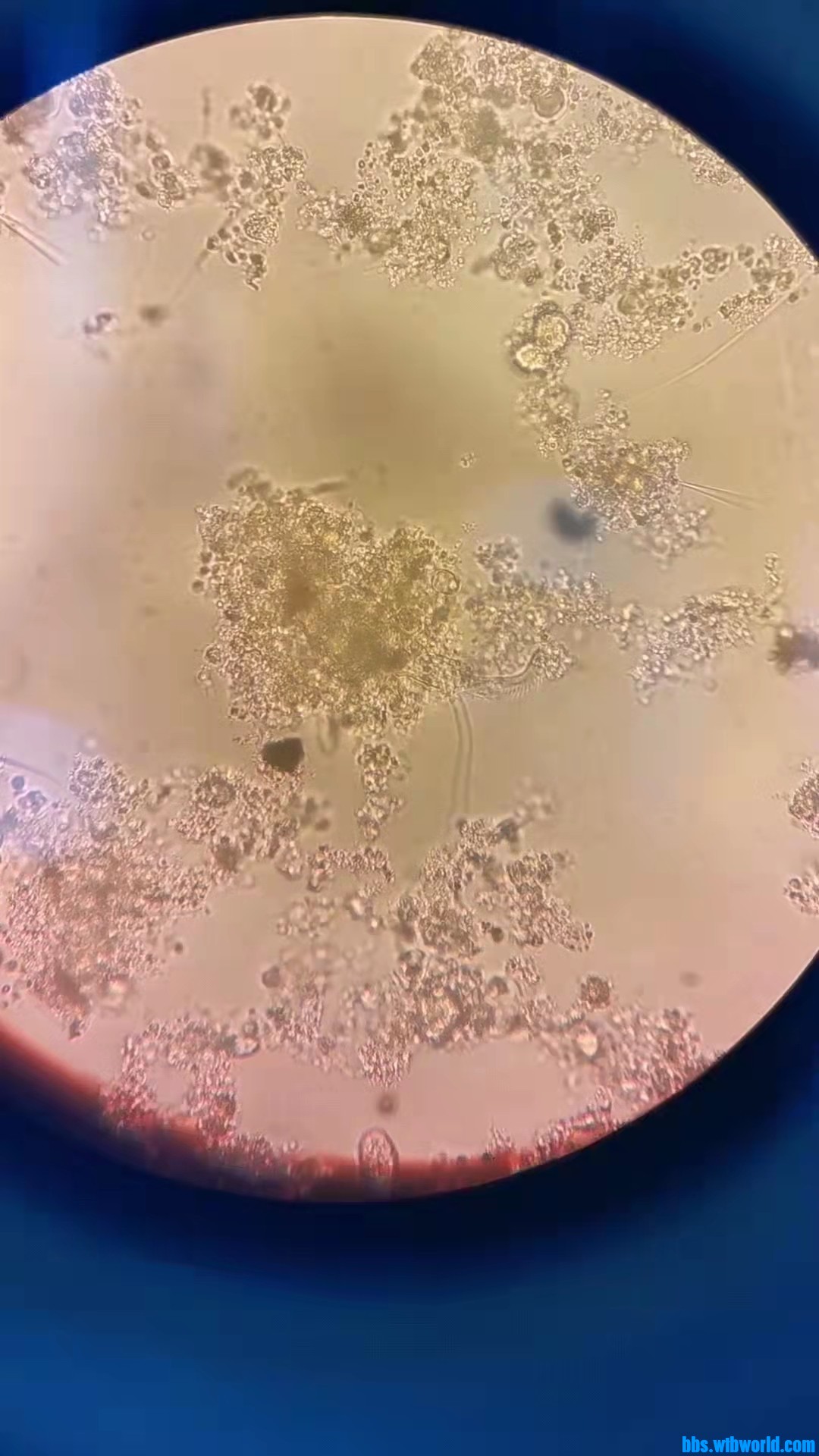 wechat_upload1649320450624ea202c14d8