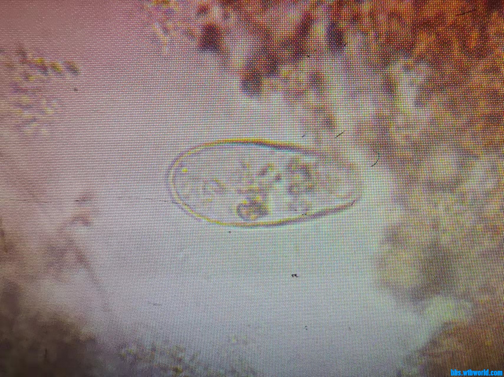 wechat_upload1649320578624ea282e063d