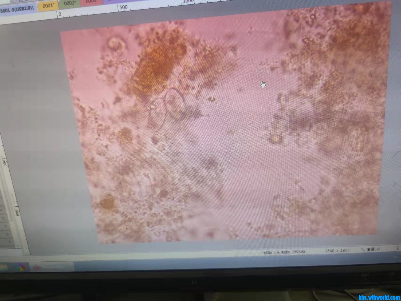 wechat_upload1649320579624ea2834a2c6