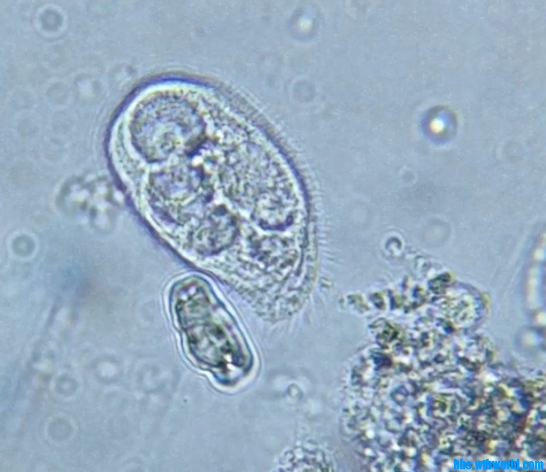 wechat_upload1649335561624edd090f8cf