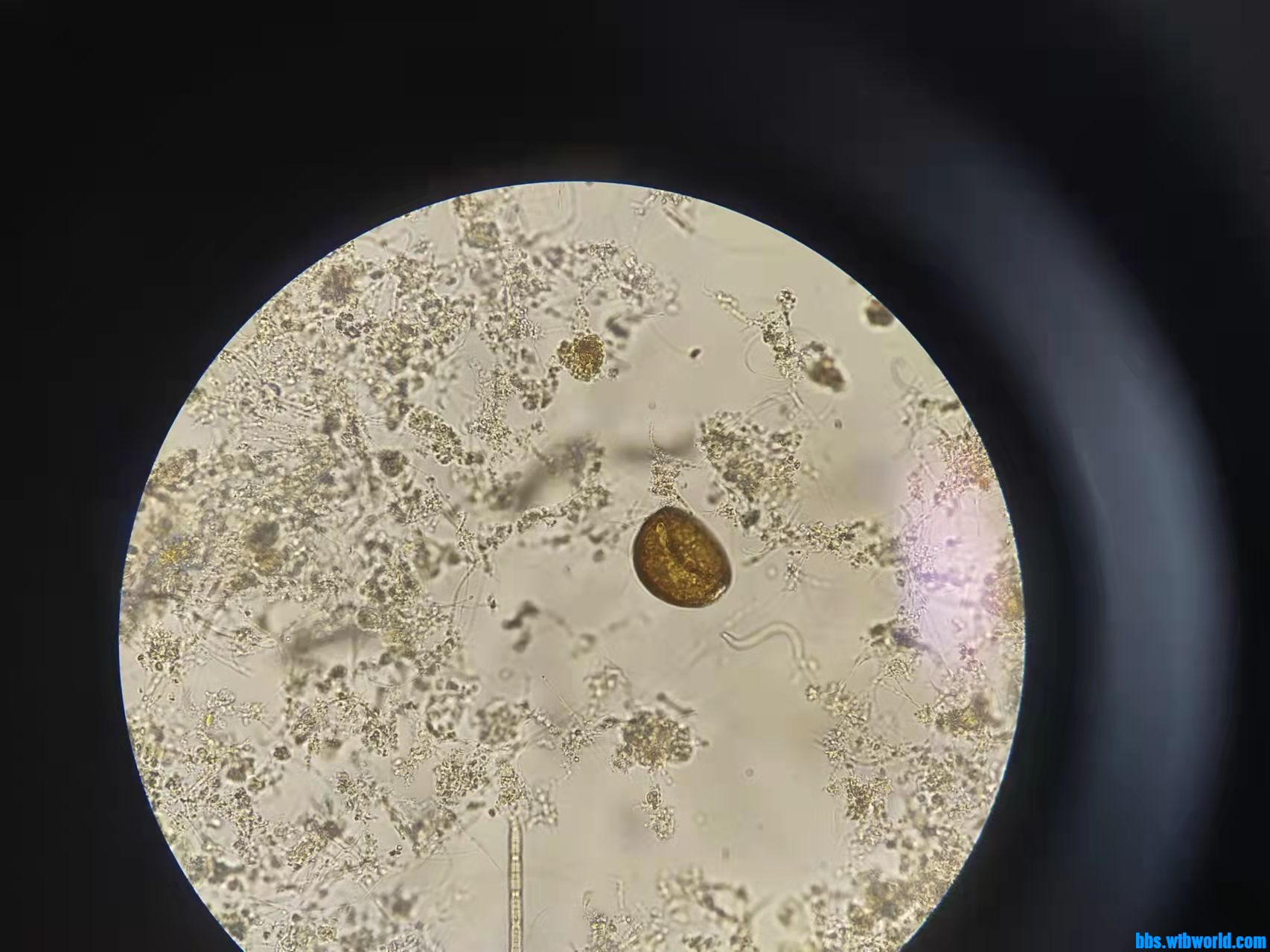 wechat_upload1649389599624fb01f39faf