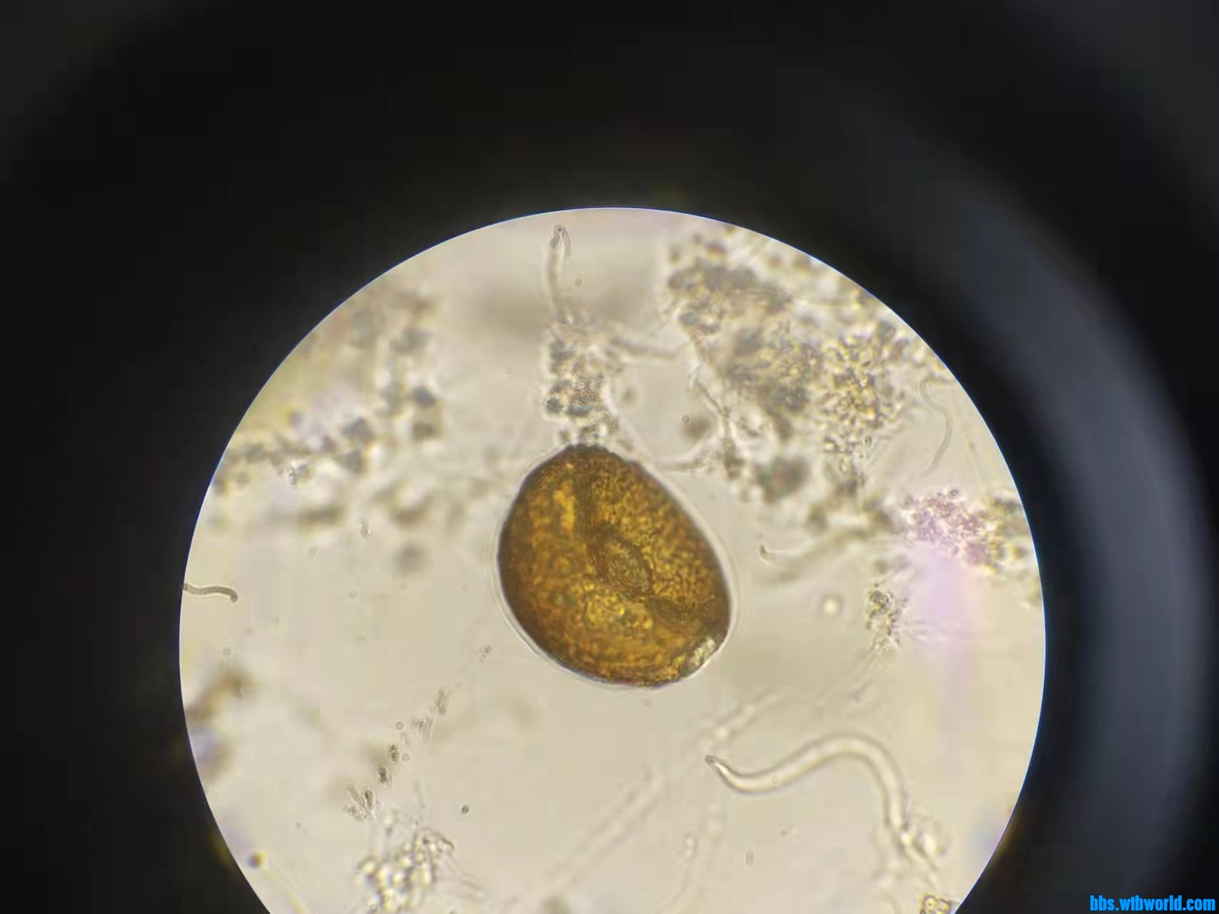 wechat_upload1649389599624fb01f87045