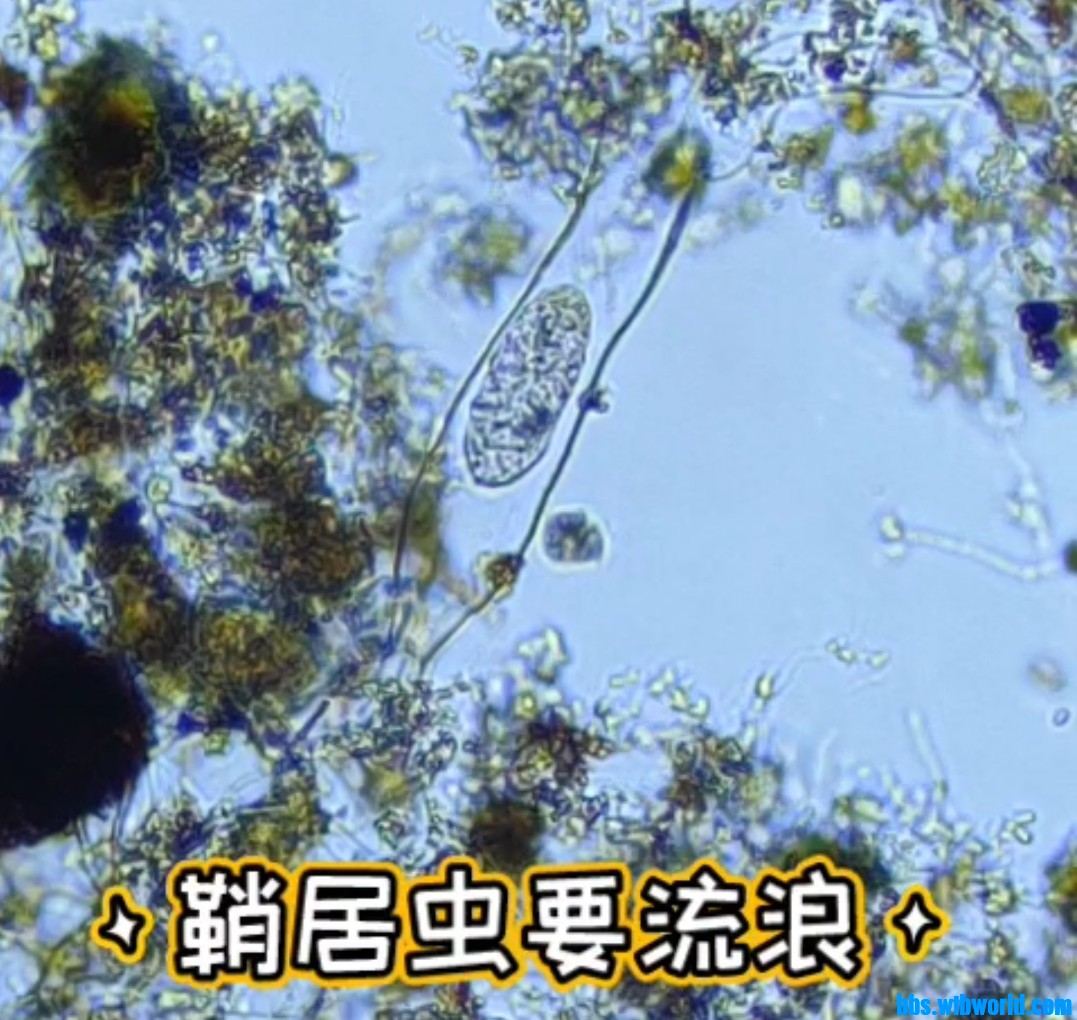 wechat_upload1649399251624fd5d356b06