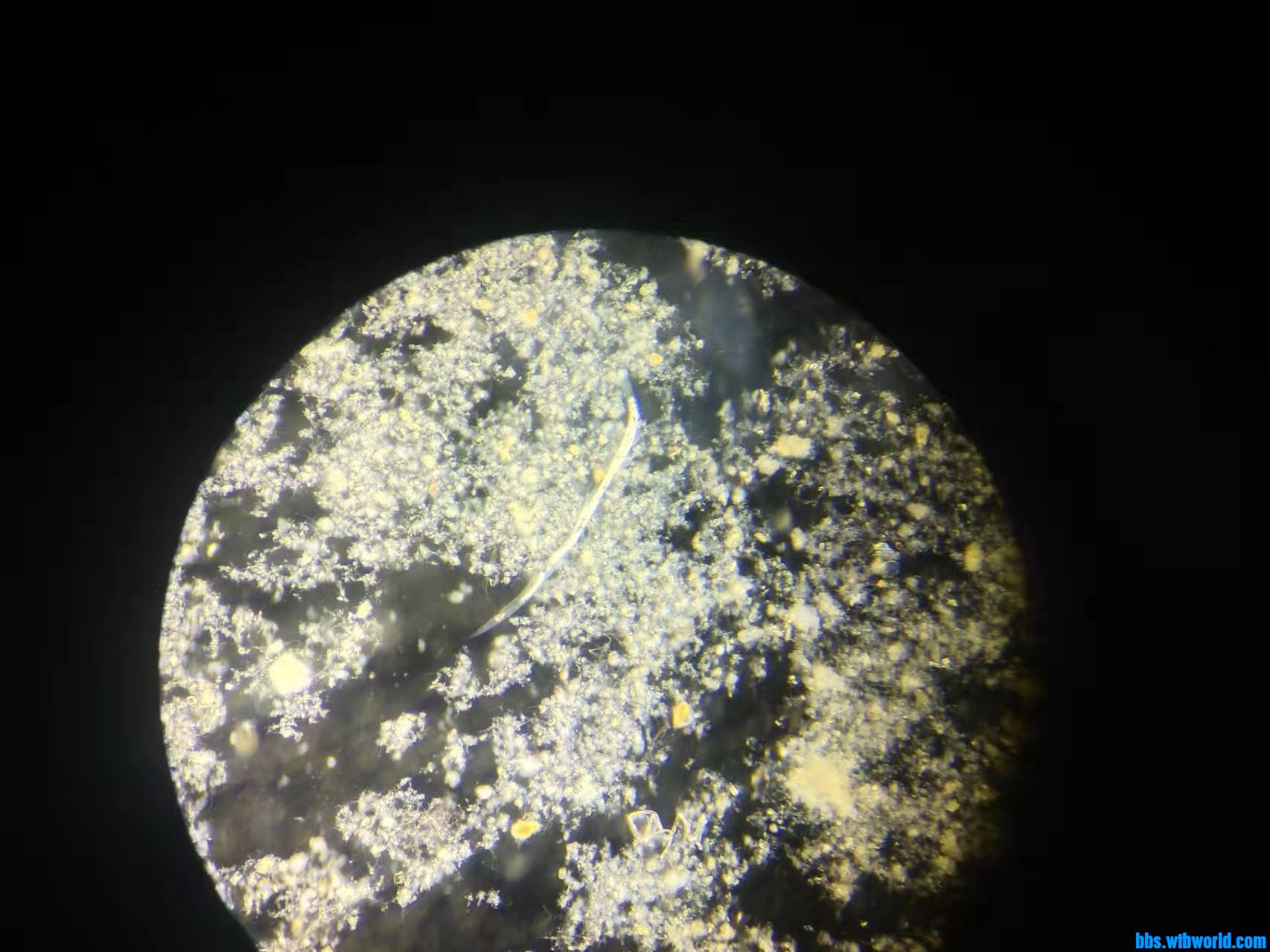 wechat_upload1649404090624fe8ba5c42d