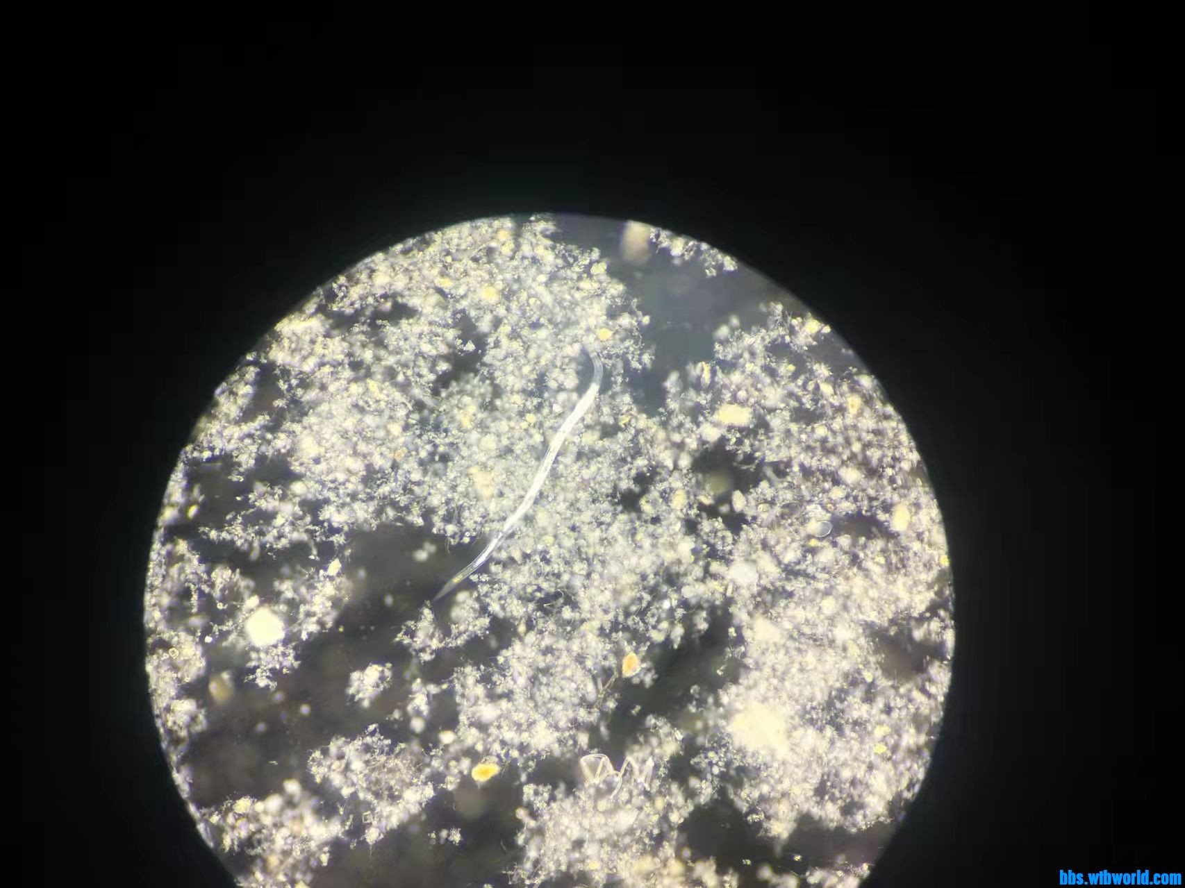 wechat_upload1649404090624fe8ba01adb