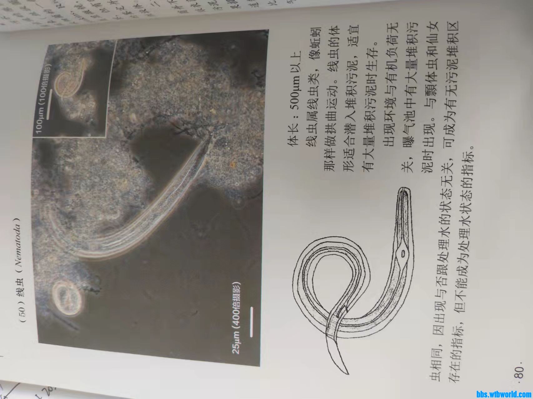 wechat_upload1649404183624fe9176bdf6