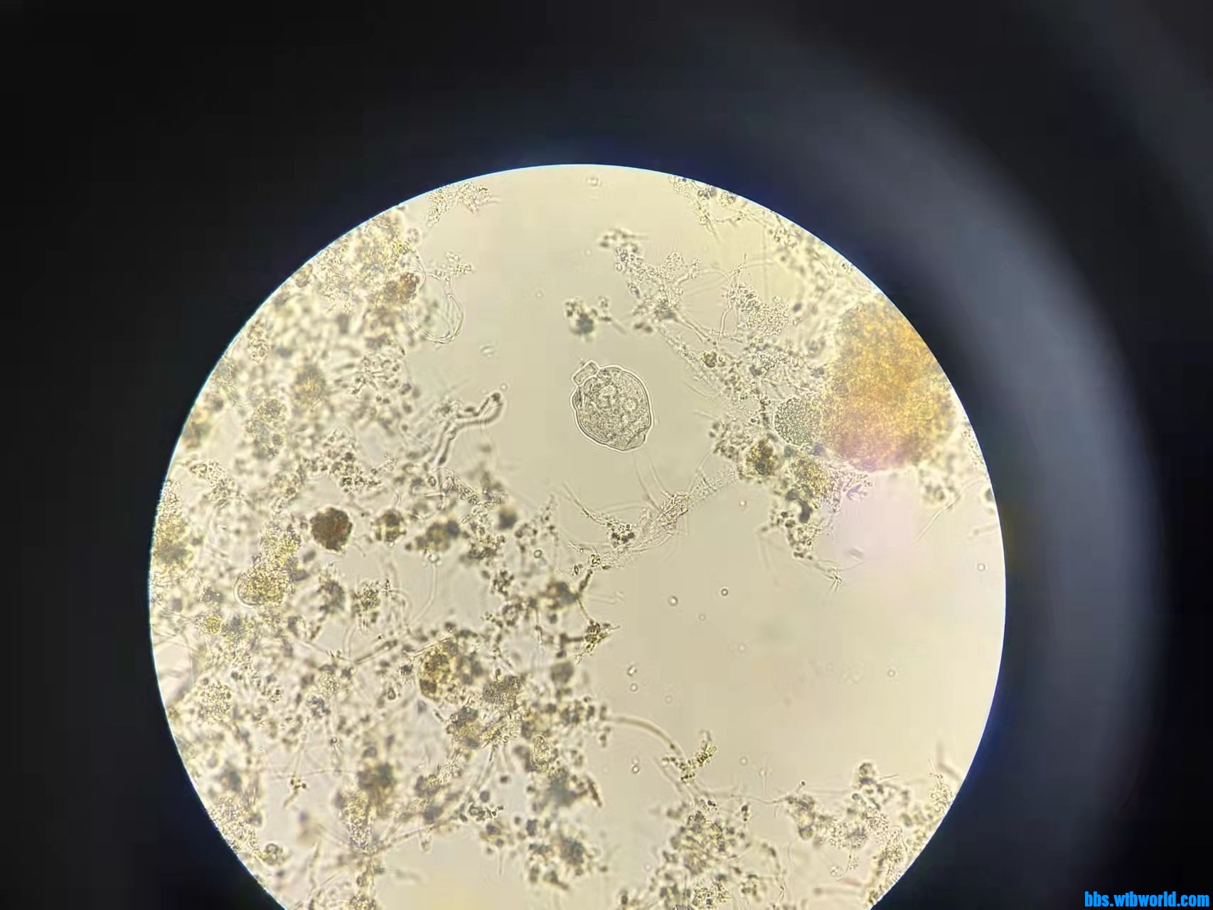 wechat_upload1649406812624ff35cce935