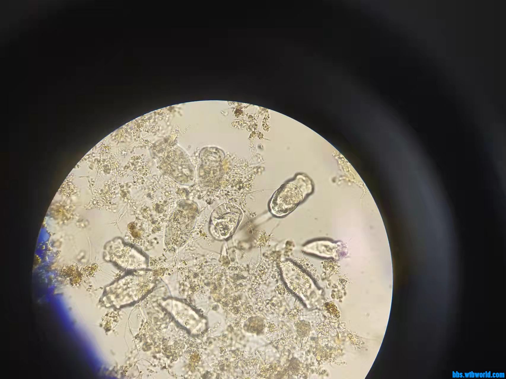 wechat_upload1649406813624ff35d32105