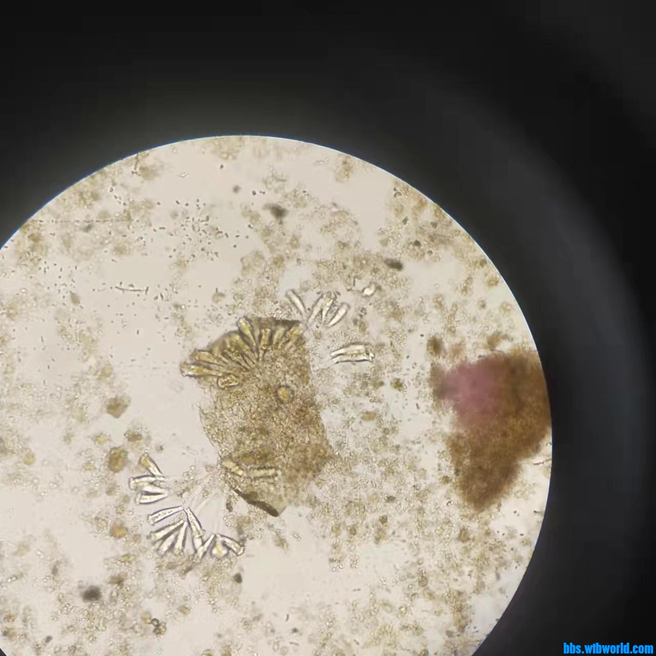 wechat_upload1649406908624ff3bc97c78