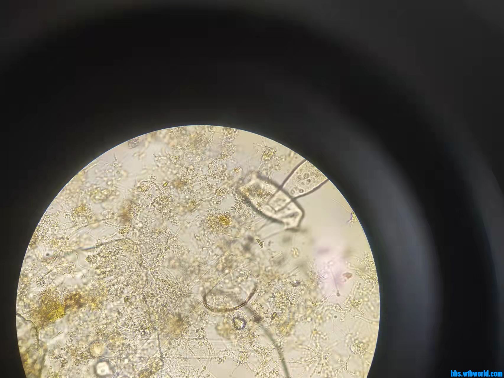 wechat_upload1649406908624ff3bc49125