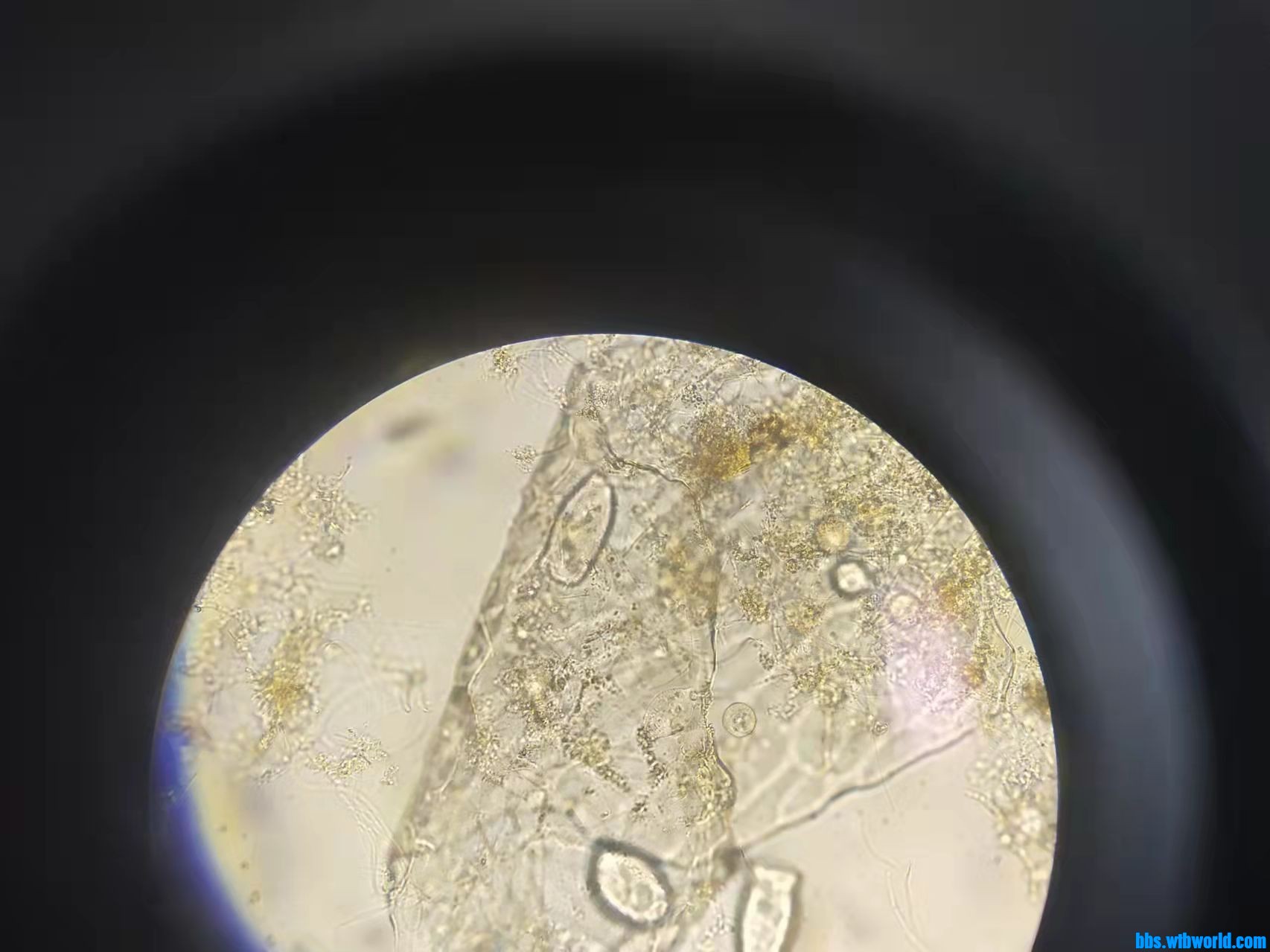 wechat_upload1649406909624ff3bd86827