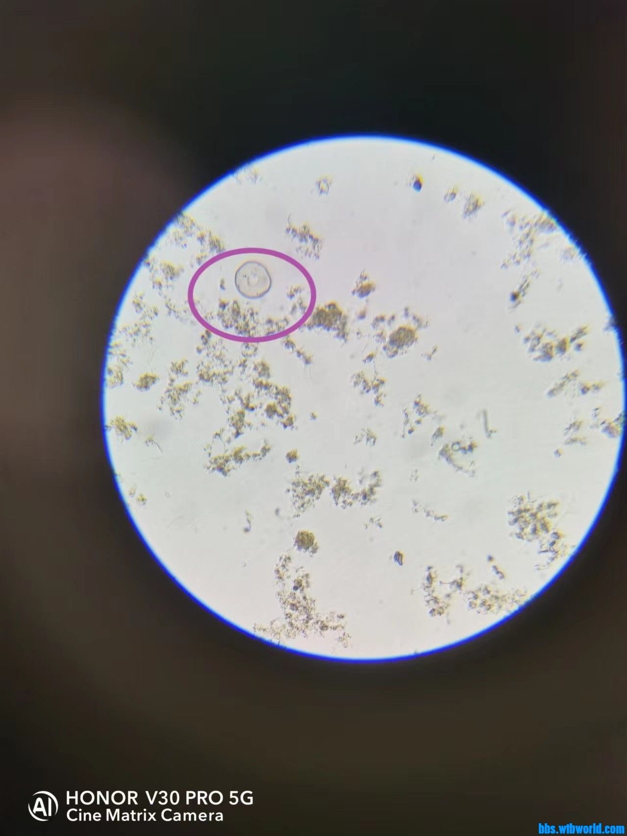 wechat_upload164947888062510ce03bb06