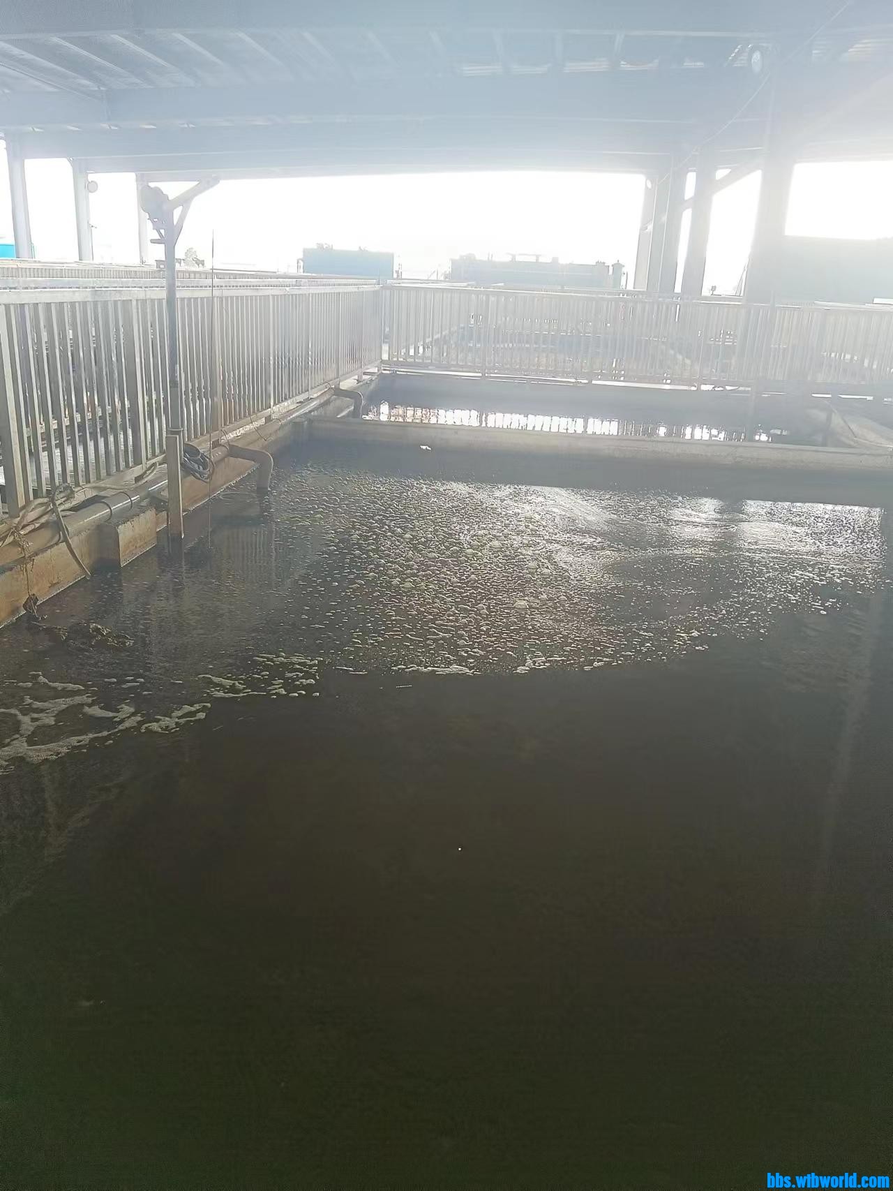 wechat_upload16496664256253e9792e8c9