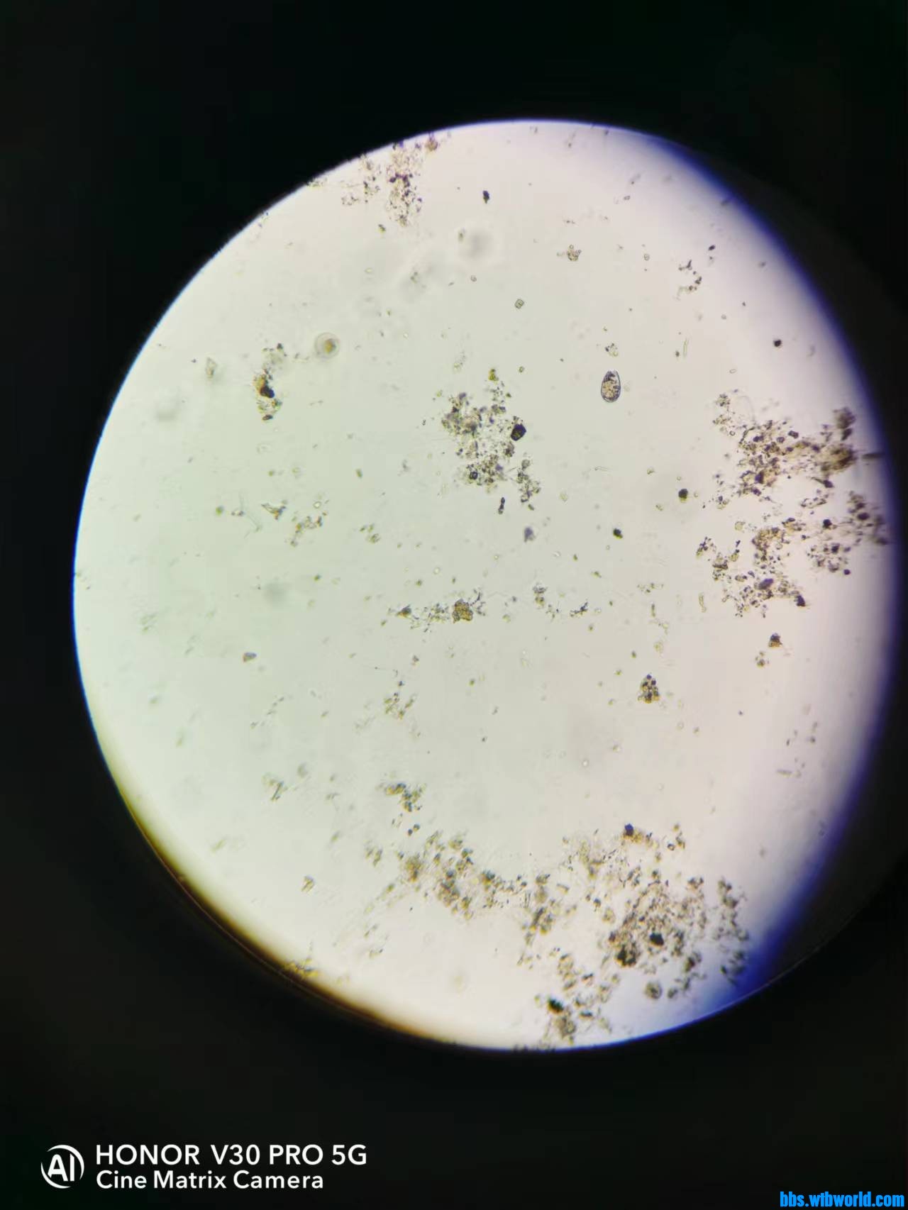 wechat_upload1650423514625f76dab8324