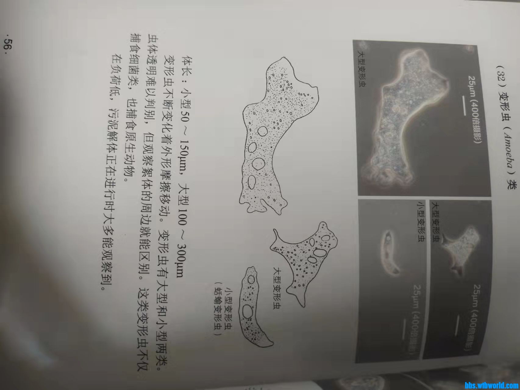 wechat_upload1650442562625fc142ef5c0