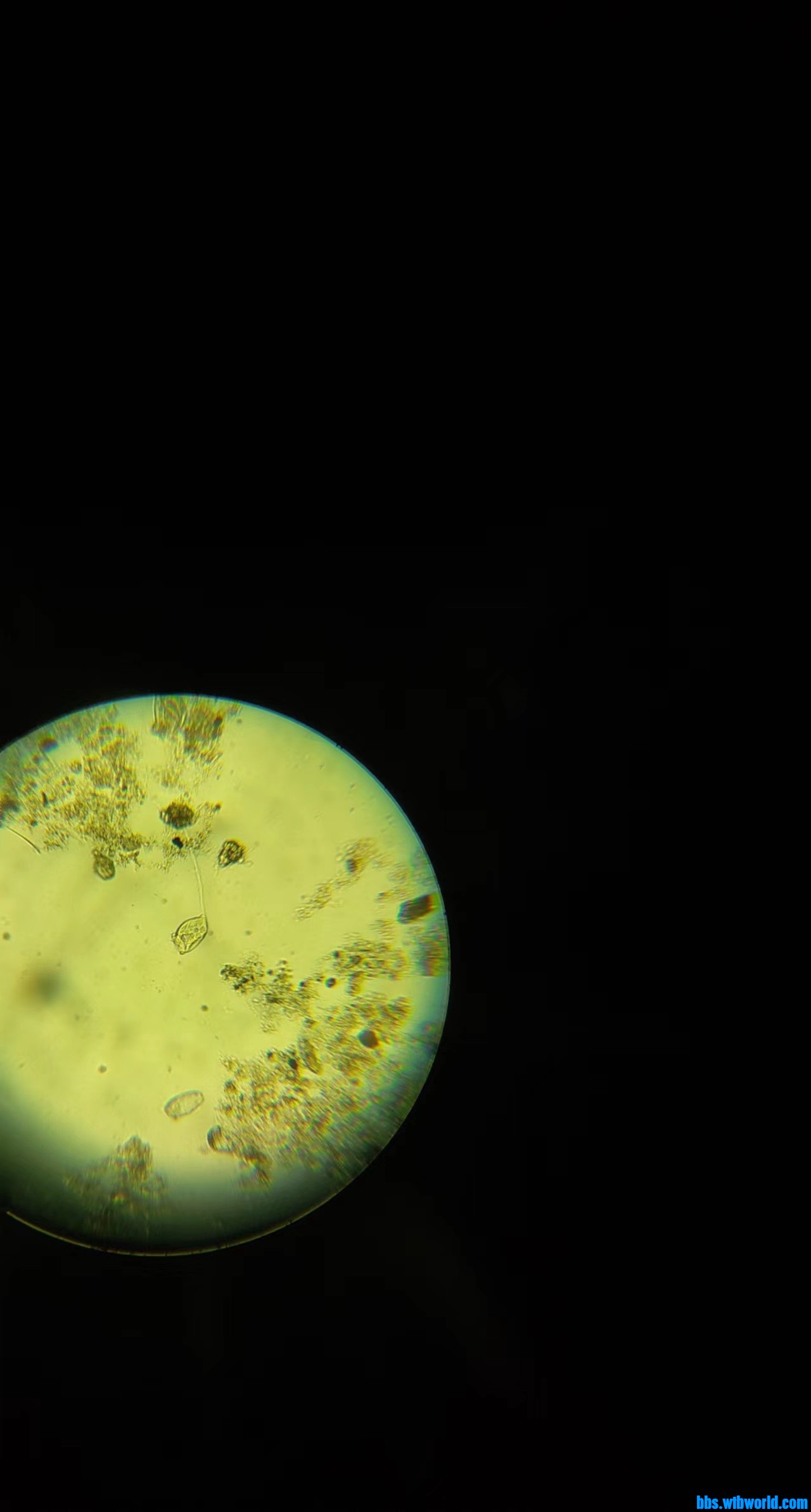 wechat_upload165080838962655645f0067