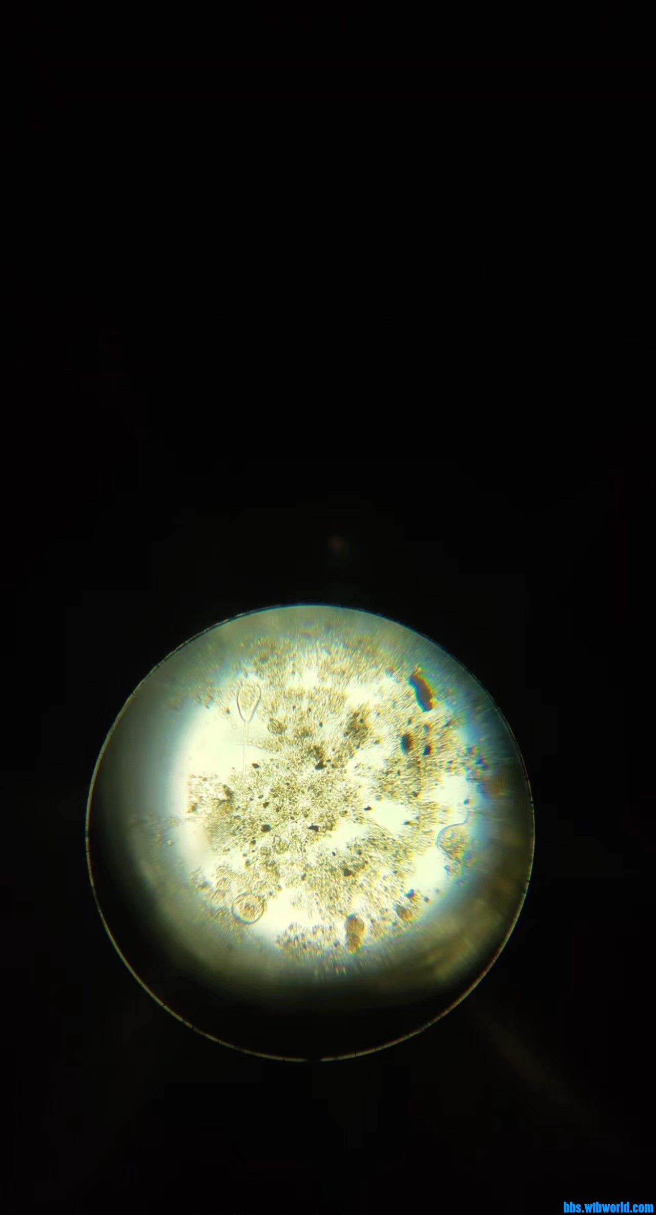 wechat_upload165080838962655645867f2