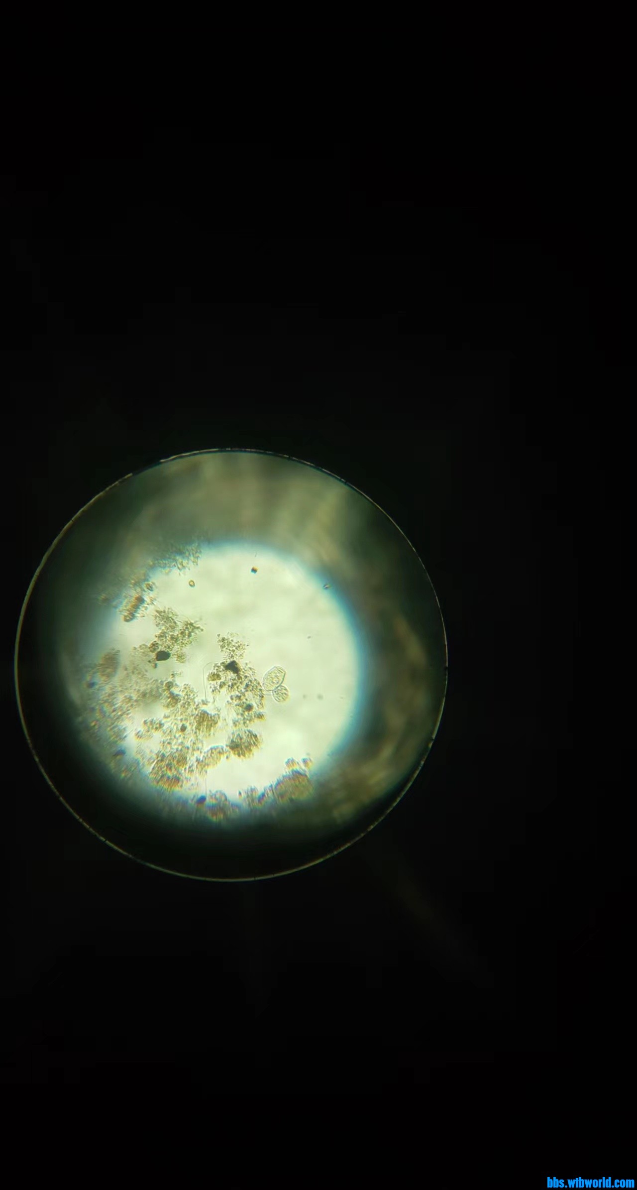 wechat_upload165080839062655646eec49