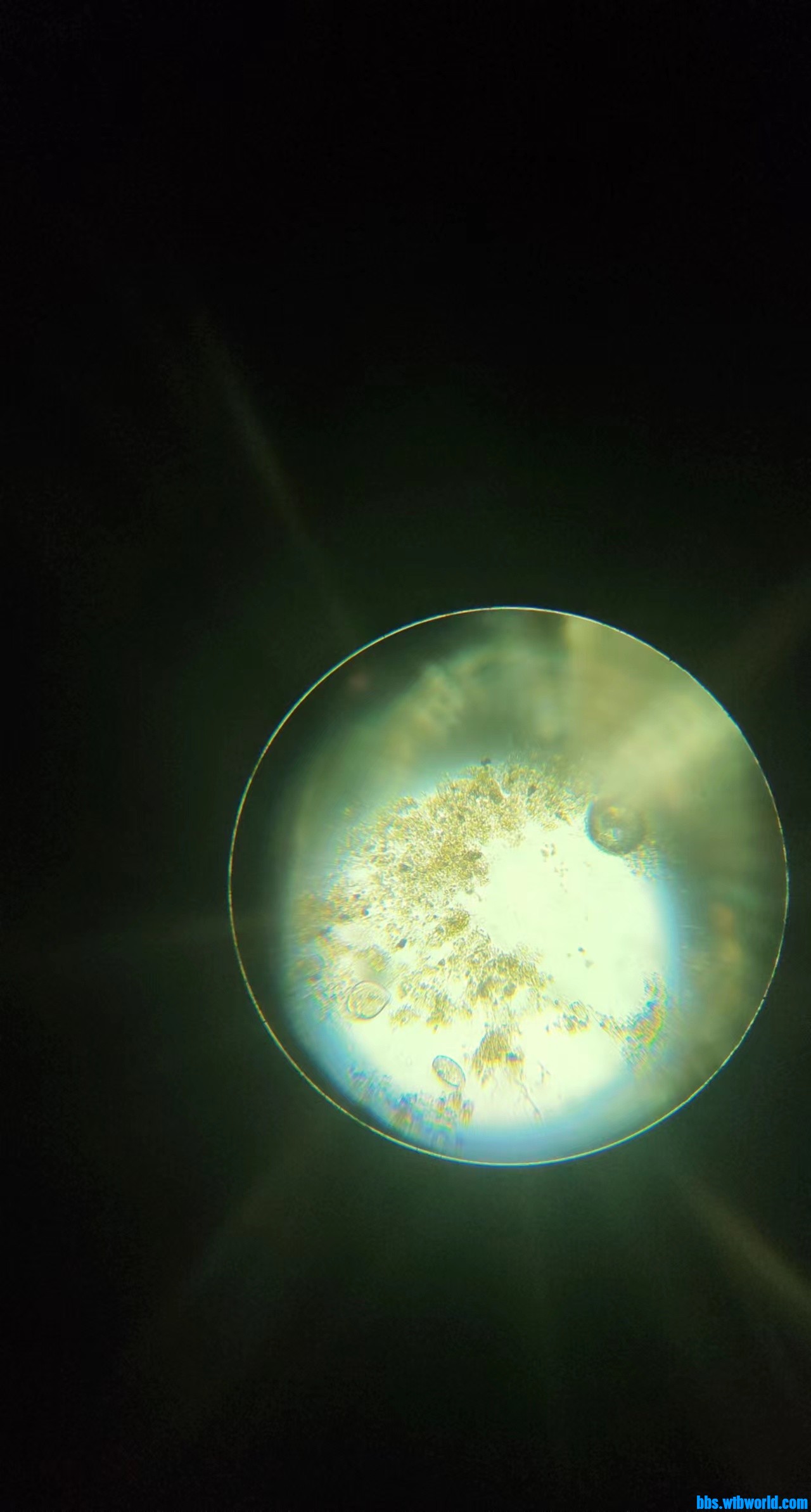 wechat_upload1650808391626556476b197