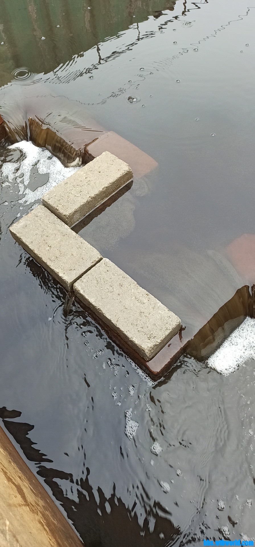 wechat_upload1651282309626c9185cc7af