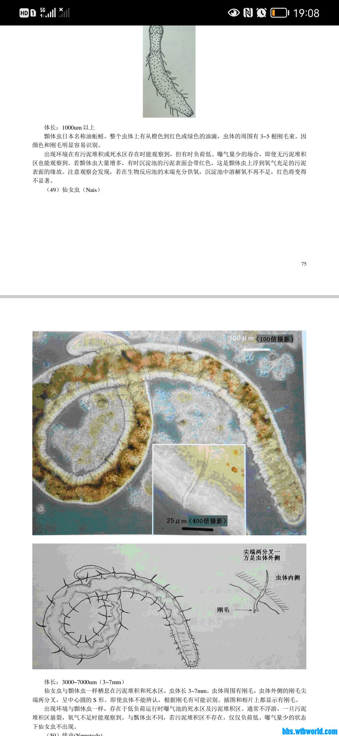 wechat_upload1652267612627b9a5cb49c5