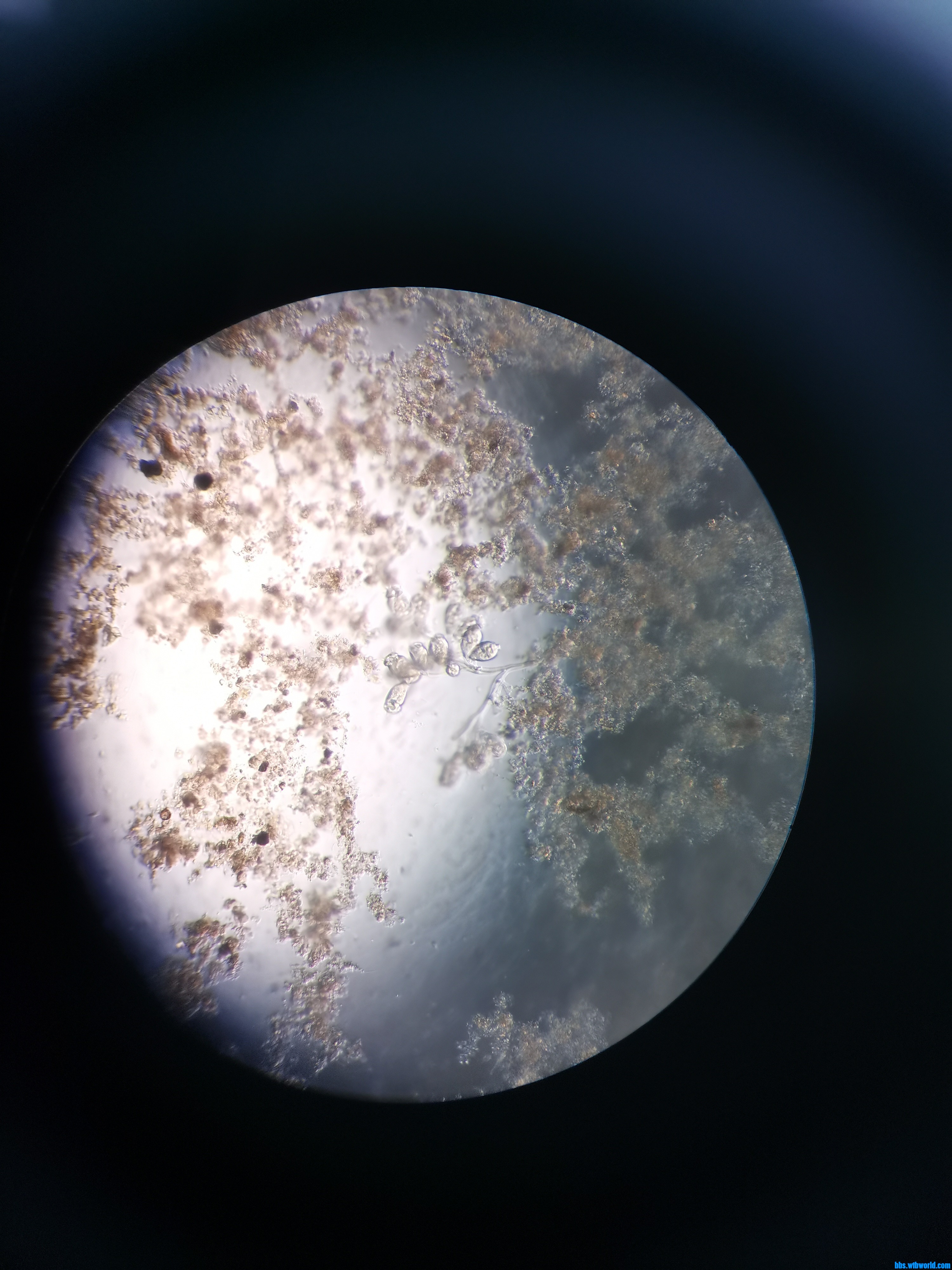 wechat_upload165298022662867a02c247b