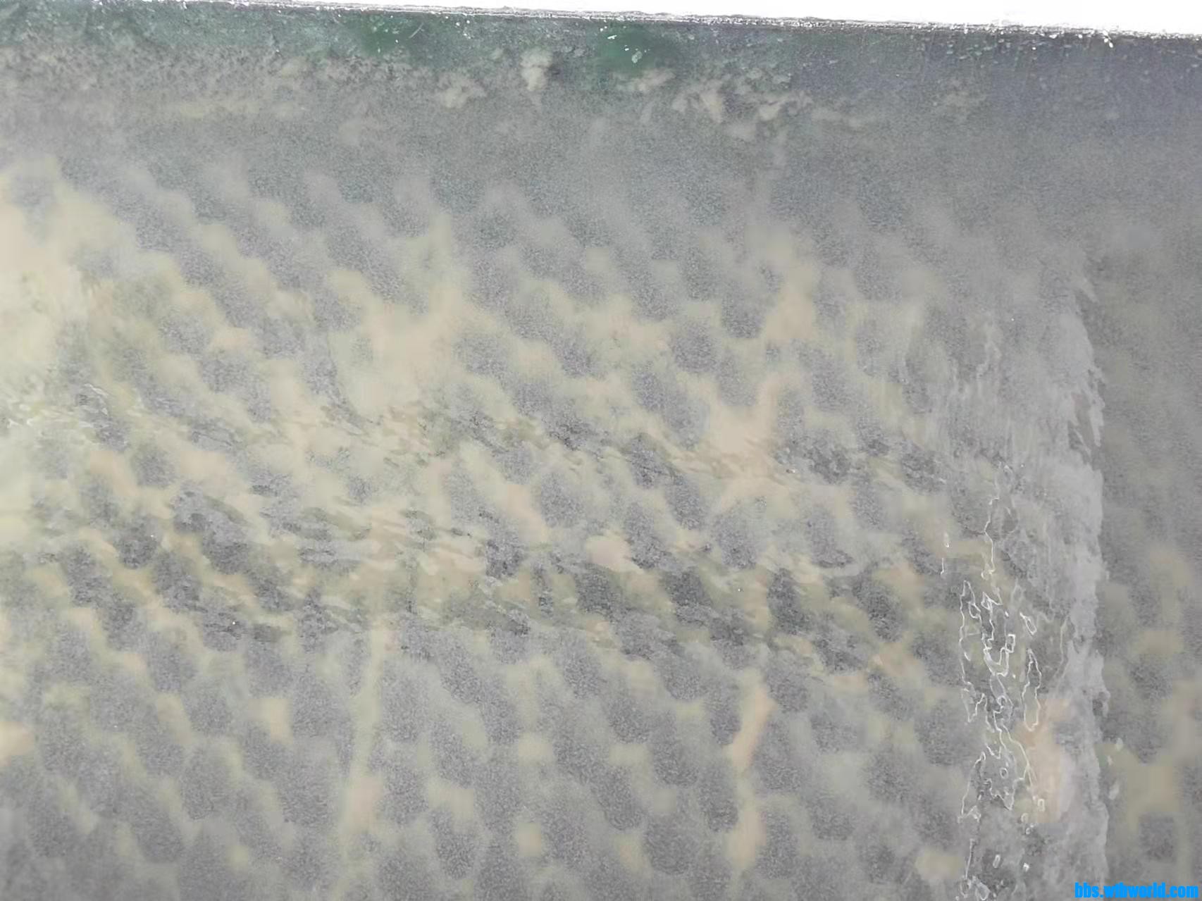 wechat_upload165536605462aae1a6466a0