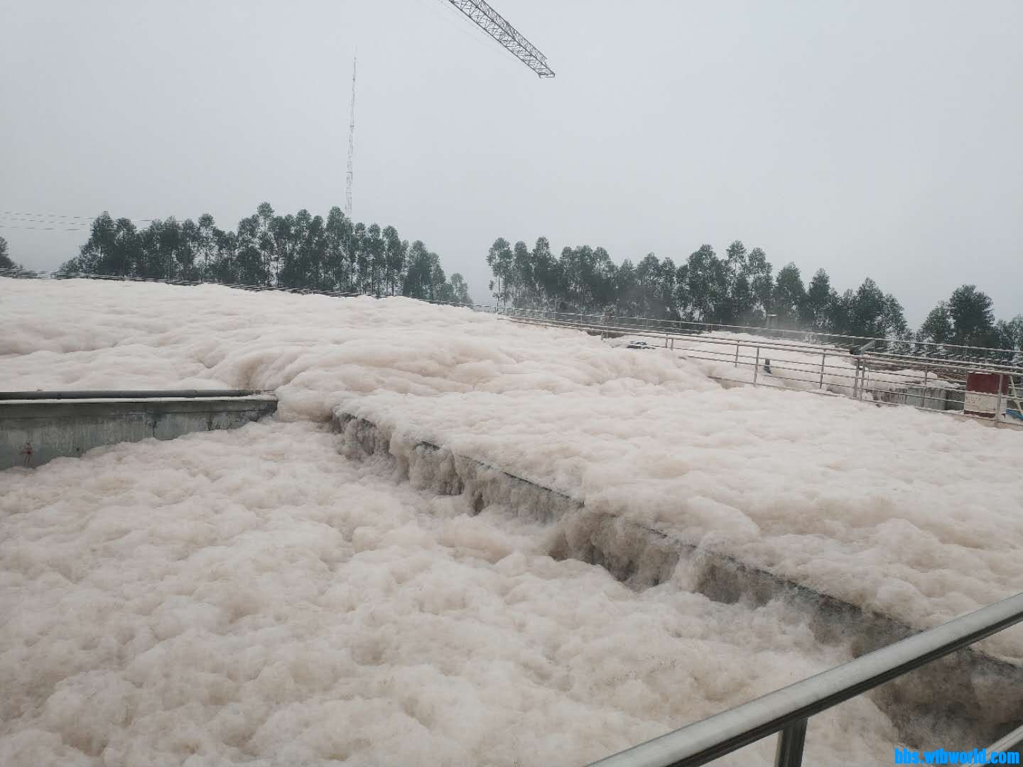 wechat_upload165611629162b65443edb14