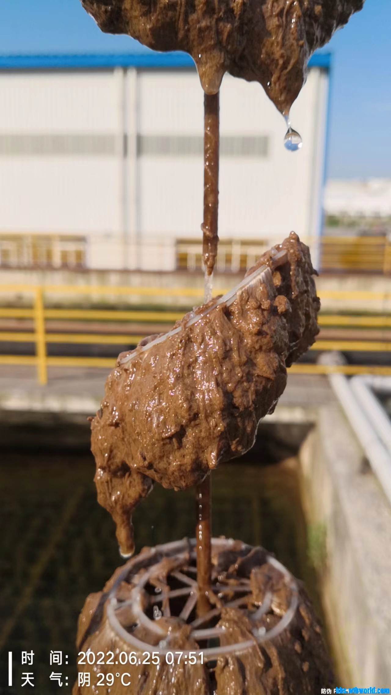 wechat_upload165612173062b66982c929e