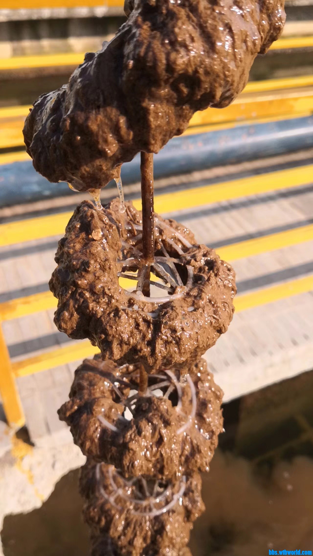 wechat_upload165612173062b66982585b8