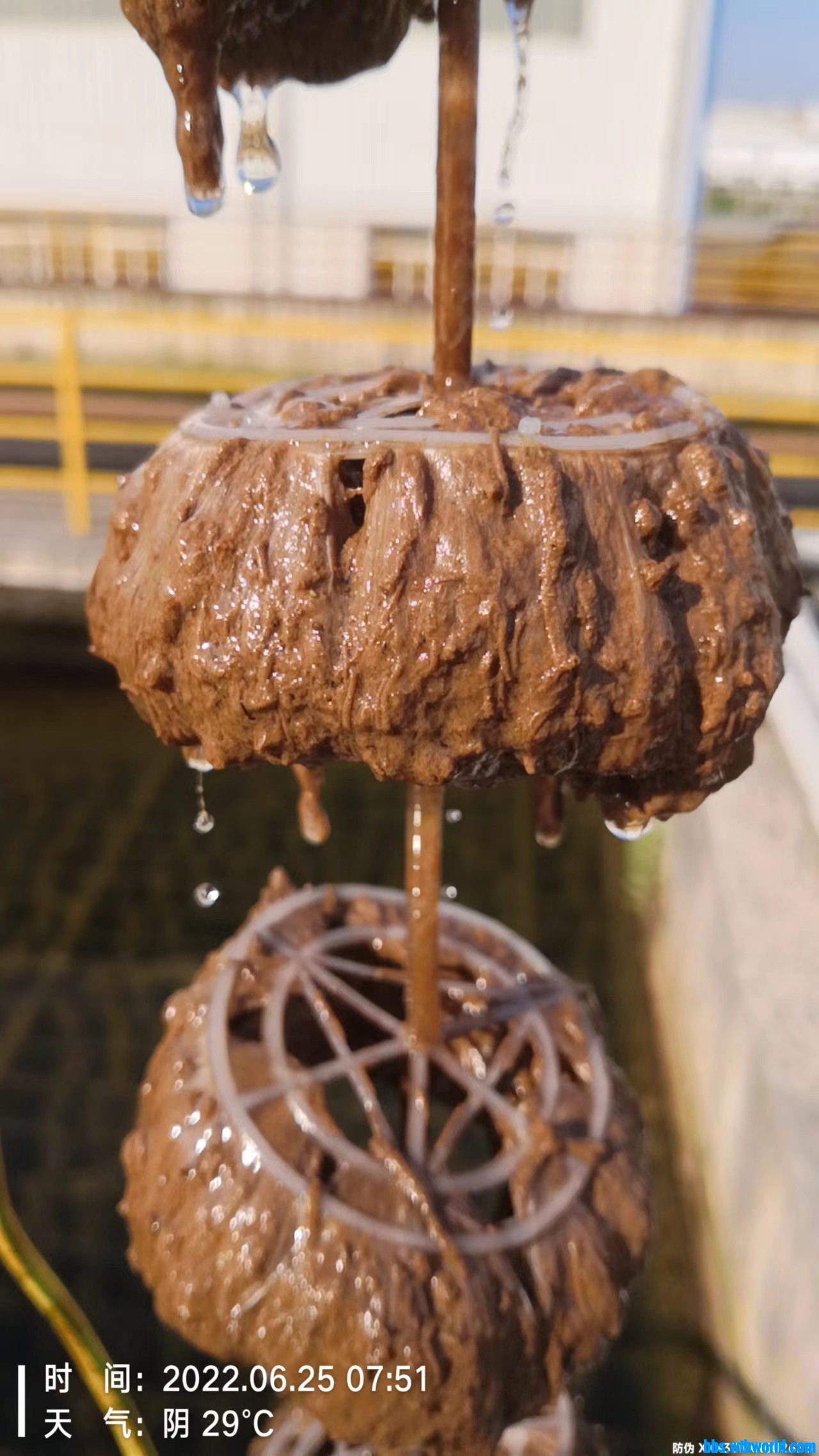 wechat_upload165612173162b6698350bfa