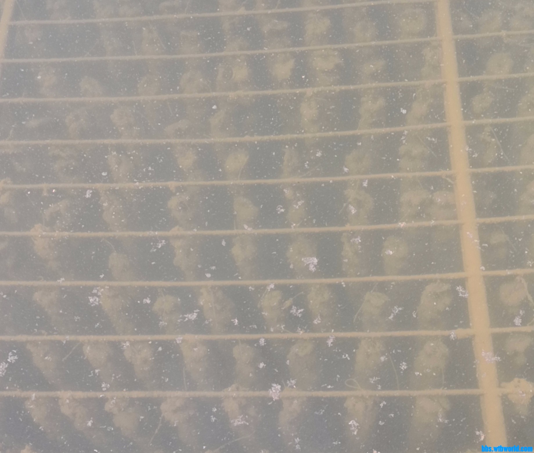 wechat_upload165612300362b66e7b2ccc3