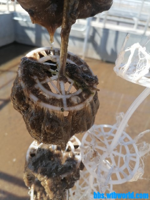 wechat_upload165633479562b9a9cb9aac2